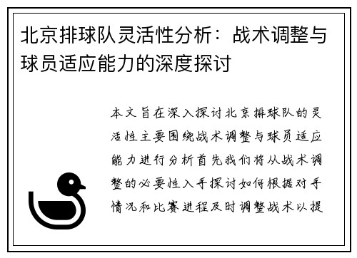北京排球队灵活性分析：战术调整与球员适应能力的深度探讨