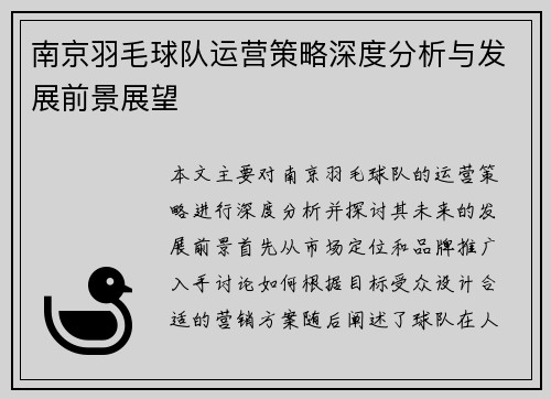 南京羽毛球队运营策略深度分析与发展前景展望